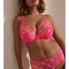 Soutien gorge Plunge Cala Luna Blogger Pink