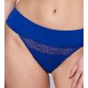 String Sophora Blue Print