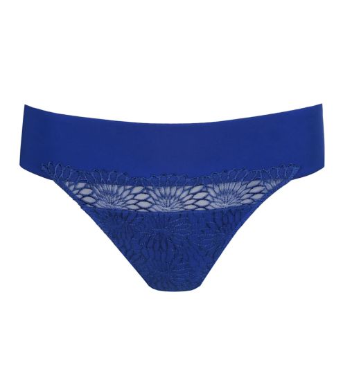 String Sophora Blue Print