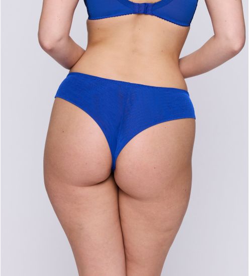 String Sophora Blue Print