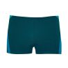Boxer de bain Vert/Bleu