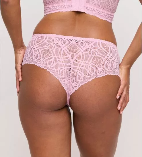 SALERNO SHORTY STR Spring Rose