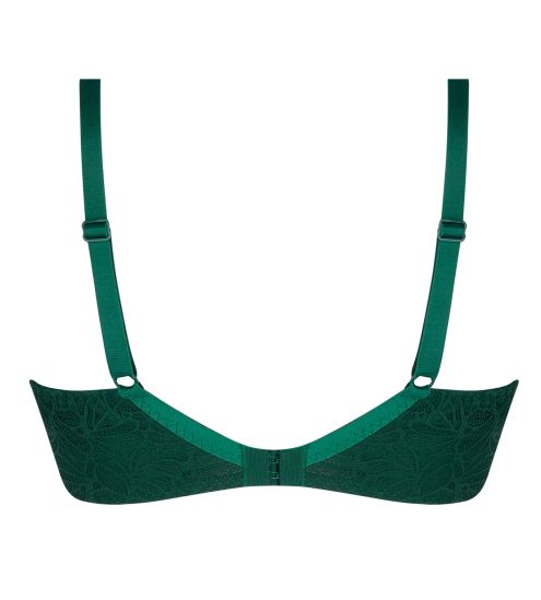 Soutien gorge grande taille armatures en dentelle vertAtelier Séduction Vert Anglais