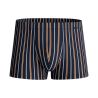 Boxer rayé en coton pour homme Graphic Cotton Glazed Ginger