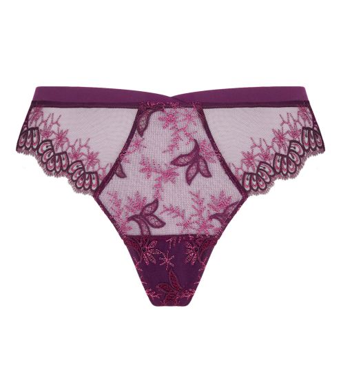 String violet Élégance Artist Orchidée