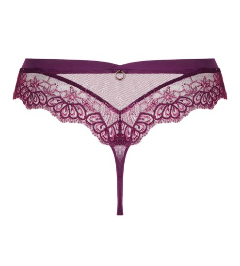 String violet Élégance Artist Orchidée