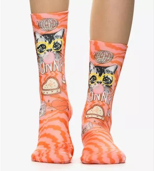 Funny Cat Funny Socks