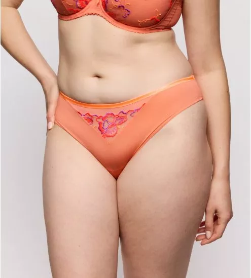 Brazilian Brief Devdaha...