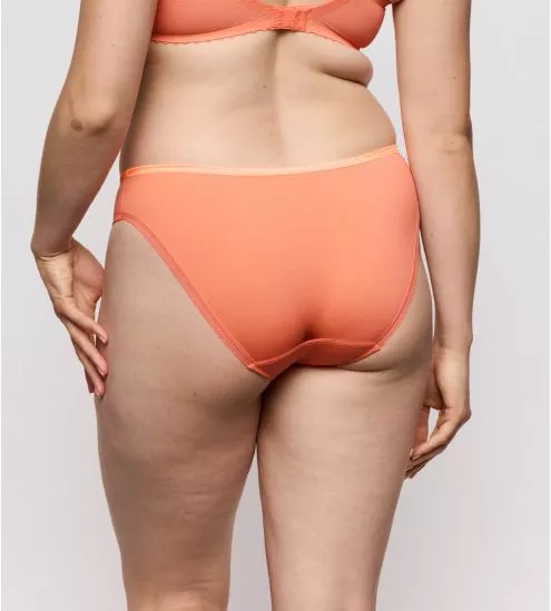 Brazilian Brief Devdaha...