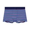 Boxer à rayures horizontales Atlantic Blue Stripes