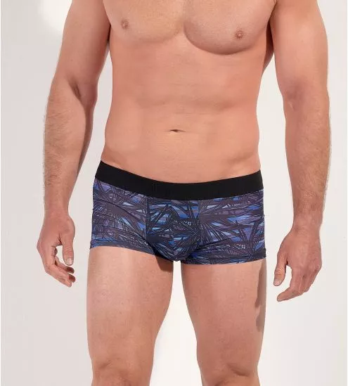 Boxer Trunck Star Island Blue Print