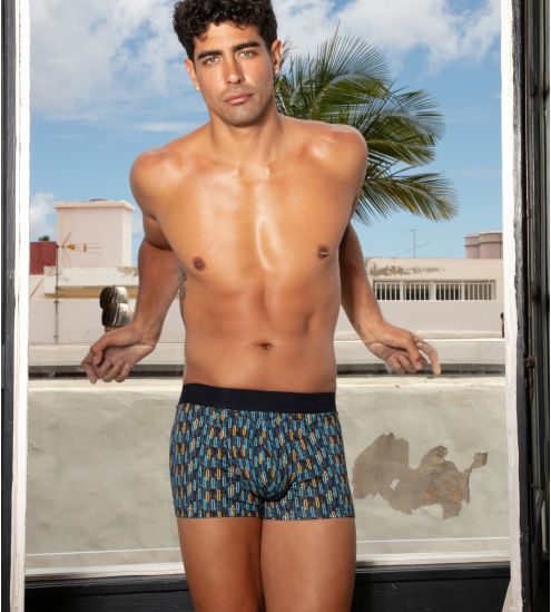 Boxer HO1 gedruckt Westgate Blue Print