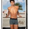 Boxer HO1 gedruckt Westgate Blue Print
