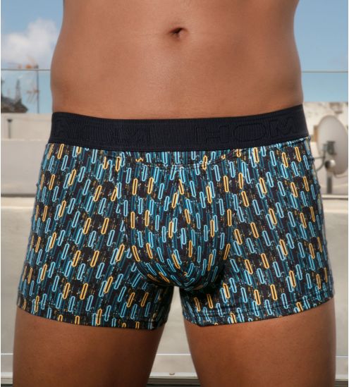 Boxer HO1 gedruckt Westgate Blue Print