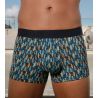 Boxer HO1 gedruckt Westgate Blue Print