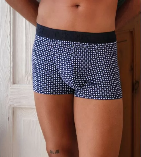 Boxer HO1 Hampton Blue Print