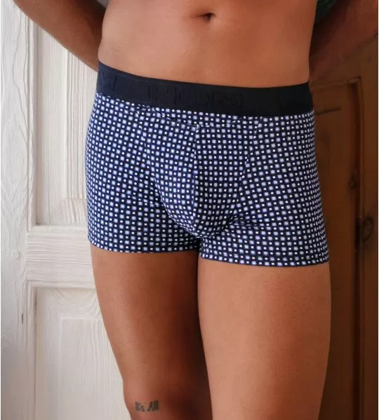 Boxer HO1 Hampton Blue Print