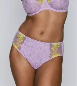 High-Waist Brief Ixia Wisteria