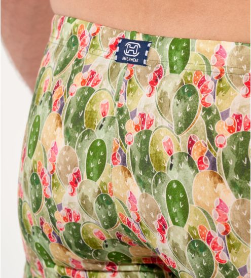 Boxer de bain Taormina vert imprimé