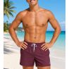 Short de bain Cienfuegos Lie de Vin
