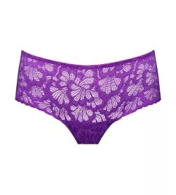 Shorty Mocuto Italian Acai