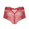 Shorty Sublime en Dentelle Sublime Opéra