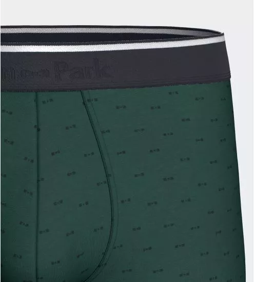 Boxer homme en coton Verdon