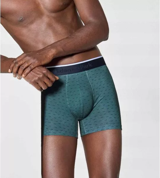 Boxer homme en coton Verdon