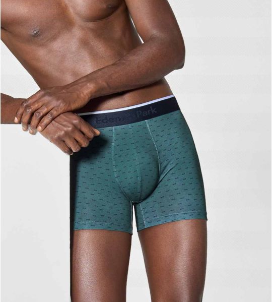 Boxer homme en coton Verdon