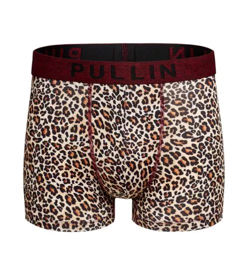 Boxer court Felini