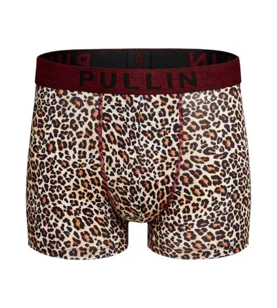 Boxer court Felini