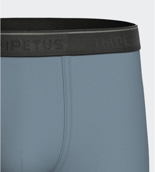 Boxer en Lyocell Bleu Gris