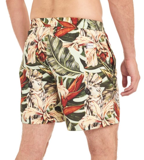 Short de plage Pako Botanik