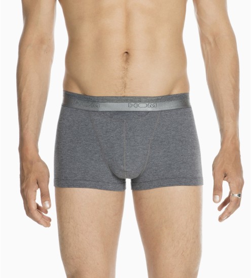 Ho1 Boxer mit grauer...