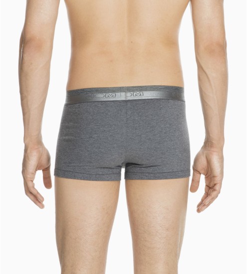 Ho1 Boxer mit grauer...