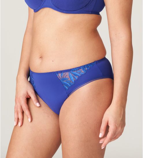 Brazilian brief Orlando...