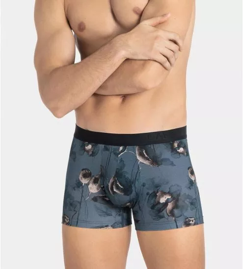 Boxer en Lyocell IAM Hayato Bleu / Taupe