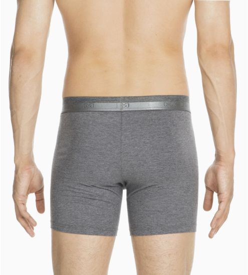 Boxer long Briefs HO1 Gris