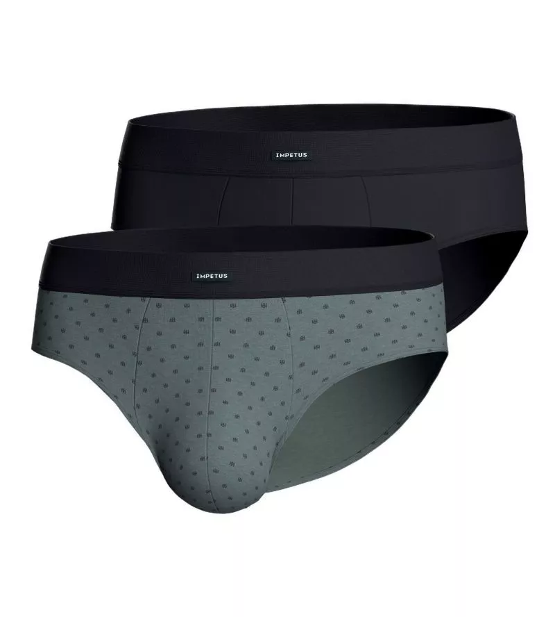 Lot de 2 slips Ceinture Confort Marine/Vert