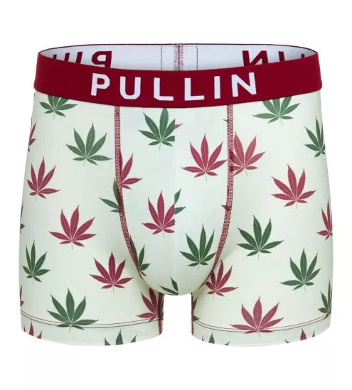 Boxer homme imprimé Master Kanab