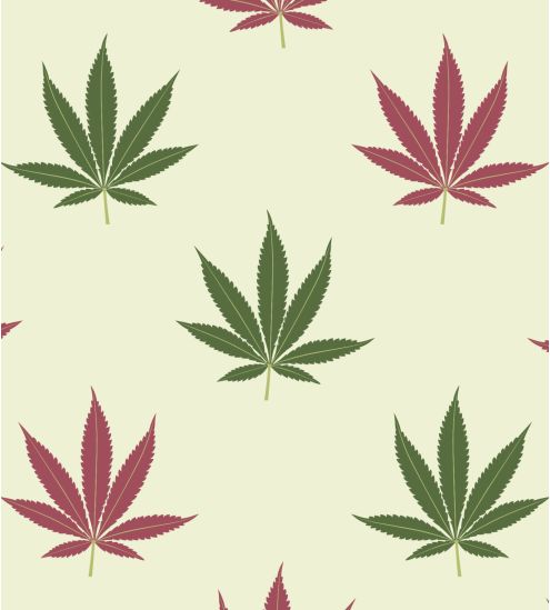 Boxer homme imprimé Master Kanab