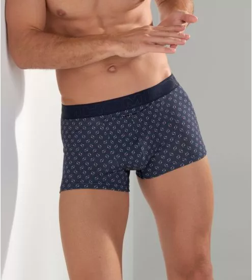 Boxer HO1 Cyrus Navy Print
