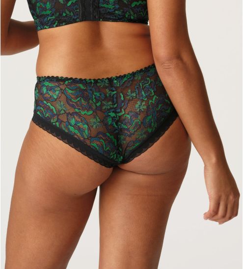 Boxer San Angel Peacock Feder