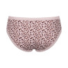 Lot de 3 hipsters Go Crush Multiple Colours