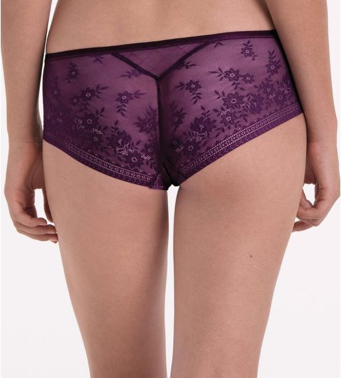 Shorty Rosemary Purple