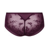 Shorty Rosemary Purple