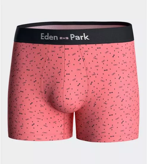Boxer homme Wild